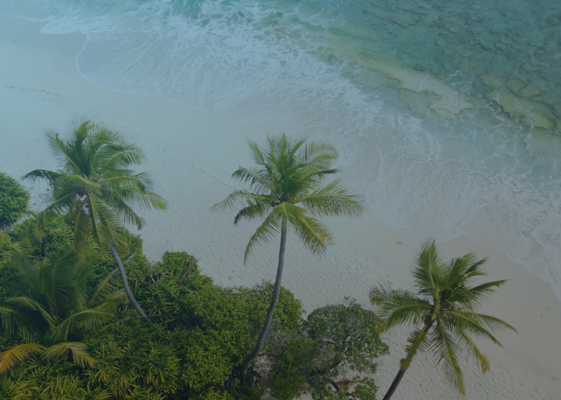 Dive Resort